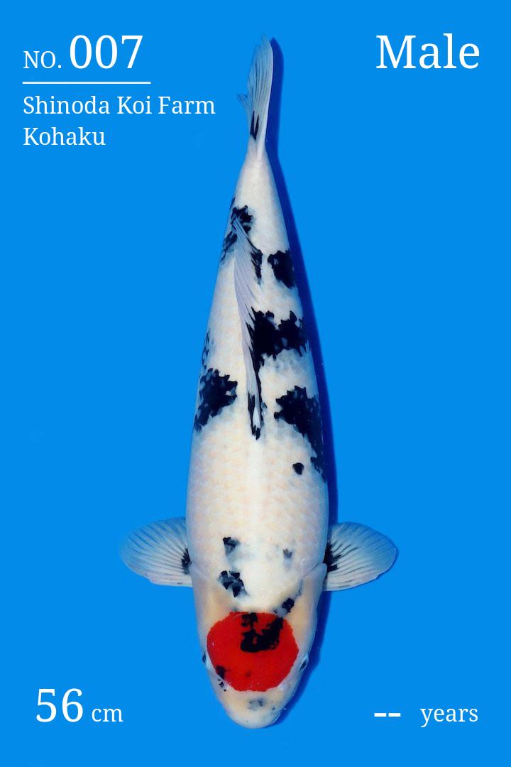 id Koi